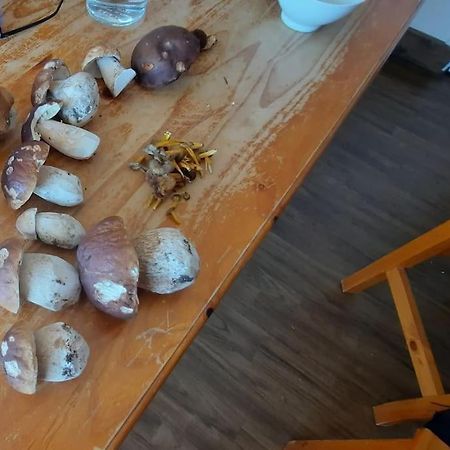 Appartement Vercors 4 Personnes Autrans-Meaudre-en-Vercors Buitenkant foto